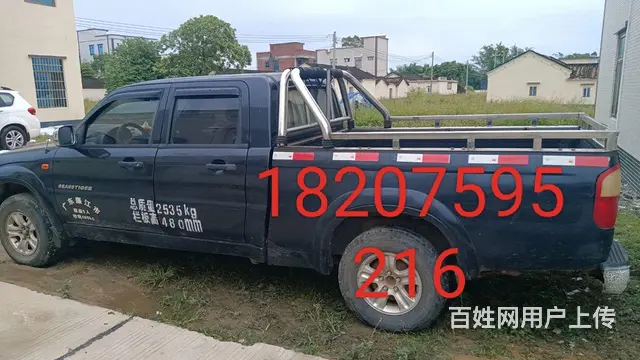 其他 皮卡 - 图片 1
