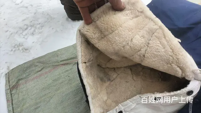 【搞定了！】羊皮袄羊皮裤  皮毛一体 - 图片 5