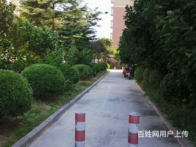 70年产权，产权清晰，南北通透 - 图片 5