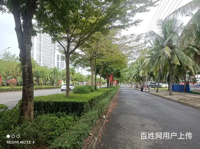 （51旺铺推荐）儋州市那大镇3000平整栋楼招租 - 图片 2