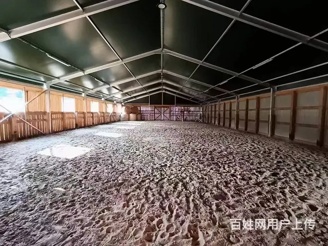 大型展会篷房 户外婚礼帐篷 啤酒节大棚 搭建灵活 - 图片 3
