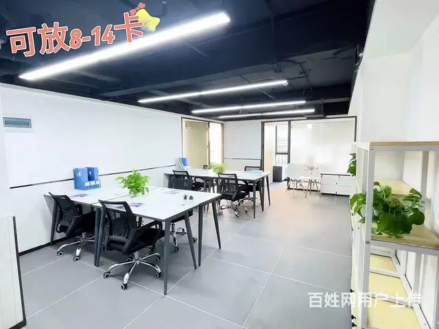 袁家岭市中心，精装带家具，户型带老板间，年底特价，一价全包 - 图片 3