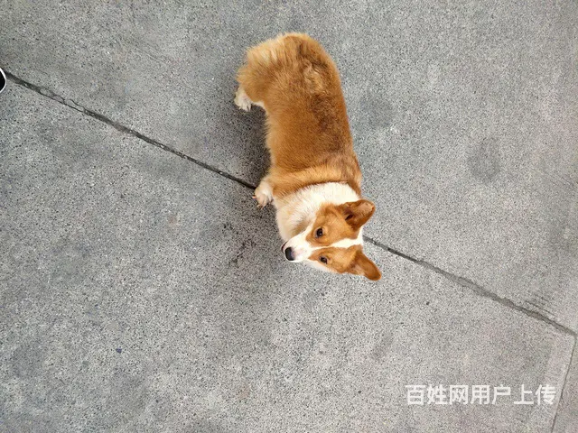孩子住校不想养了 - 图片 2