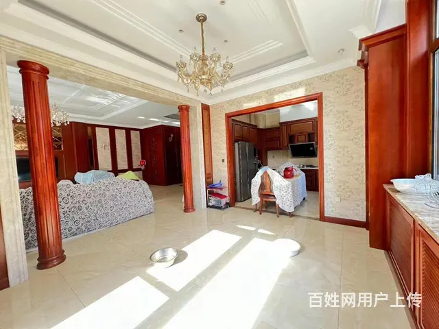 汇锦庄园 双拼别墅 使用800米1175W 大花园车库 - 图片 8