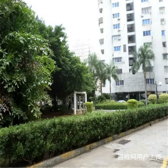 万绿园相伴    海景湾花园4房电梯房 - 图片 9