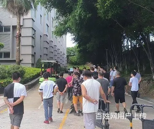 叉车培训考证要多少钱、广州叉车考证 - 图片 1