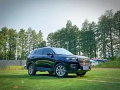 哈弗H6 2020款 H6 Coupe 1.5T 手动 智联