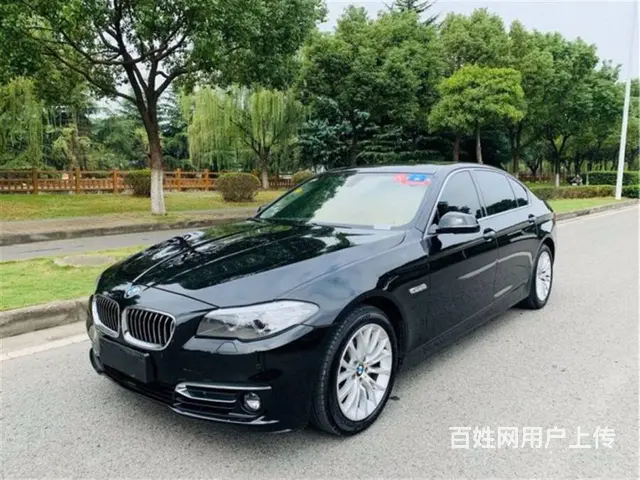 宝马5系 2013款 525Li 2.0T 手自一体 豪华型 - 图片 4