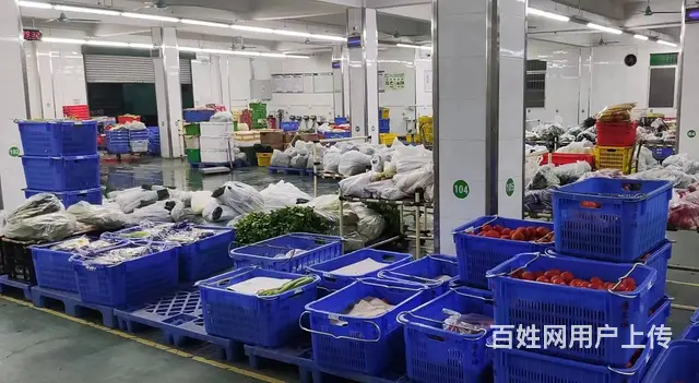黄埔区可食材配送，广州食堂生鲜蔬菜配送公司，冷链送 - 图片 2