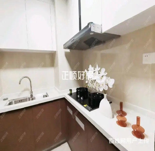 南屏中信红树湾旁 绿景玺悦湾新房，首次出租，精装 拎包入住 - 图片 3