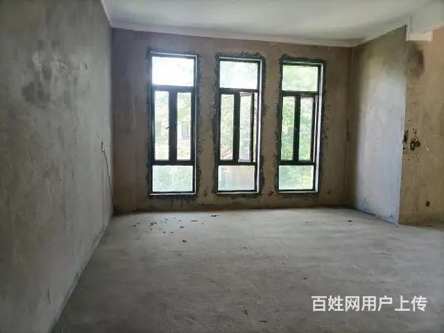 赵庄独栋别墅带车库 带花园300平左右 户型方正 采光通风好 - 图片 8