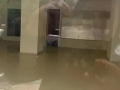 皇马公寓店铺 其他1厅 中等装修