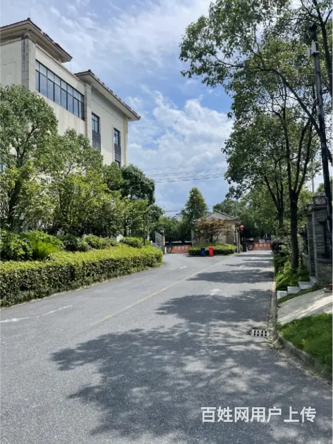 新安博林山庄 别墅 毛坯房 - 图片 3