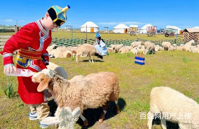 满洲里租车包车旅游刘伟师傅 - 图片