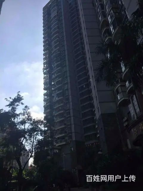 思北 源昌国际城 一房朝南 采光好 户型方正多套出租眼科医院 - 图片 6