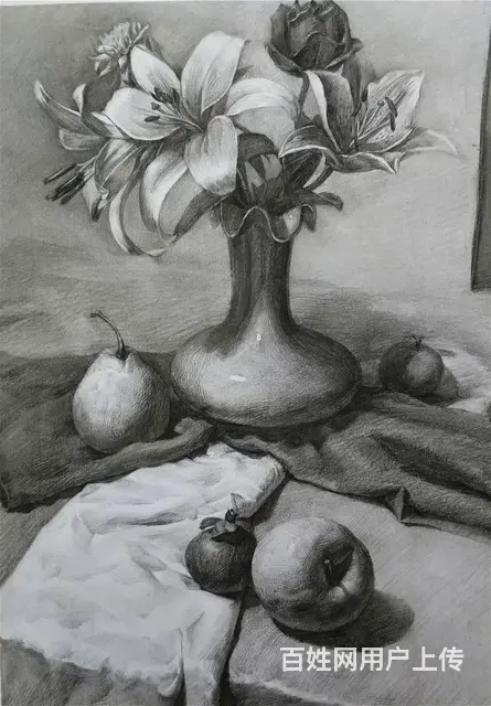 哪里可以零基础学画画？素描班 - 图片 8