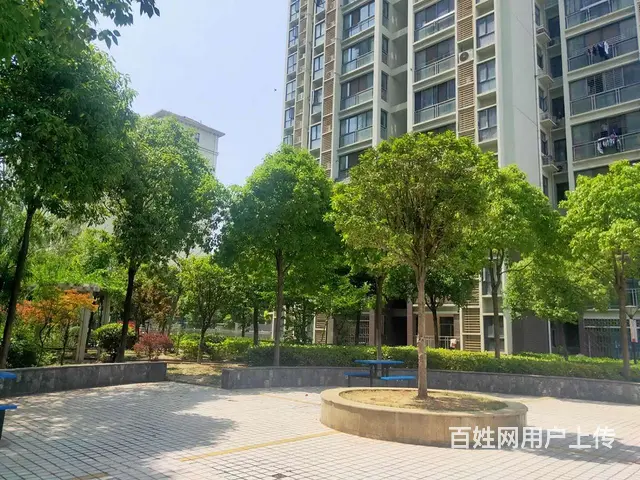 区镇府旁东襄华府三室，单字七开头，交房即拿证 - 图片 12