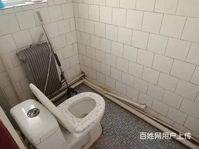 自家住房出租 - 图片 4