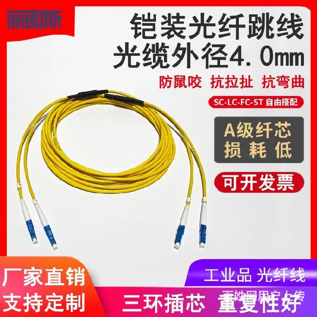 电信级基站铁塔光纤跳线，丽图斯单模2芯SC-LC，防鼠咬抗压 - 图片 6