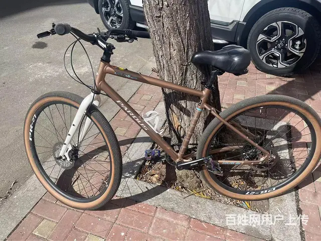 卖自行车 - 图片 4