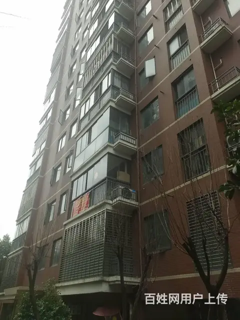东湖金利屋 普通住宅2厅 精装修 - 图片 7