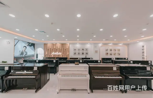 买珠江钢琴是选恺撒堡好还是里特米勒好？广州买珠江 - 图片 1
