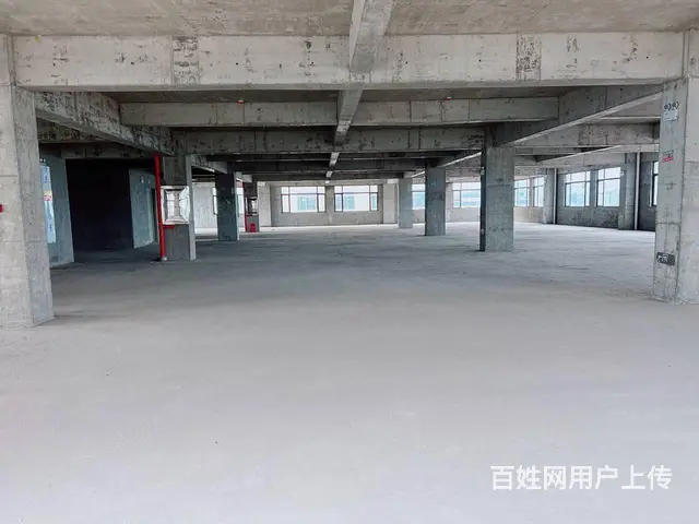 （老板本人）开福区新建标准园区厂房/仓库出租  6113 - 图片 9