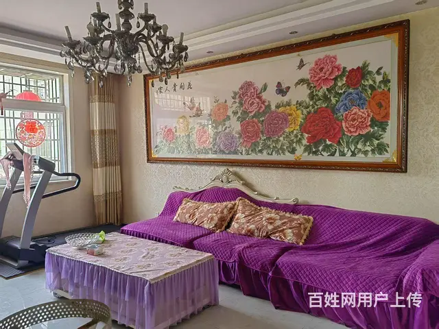  - 图片 4