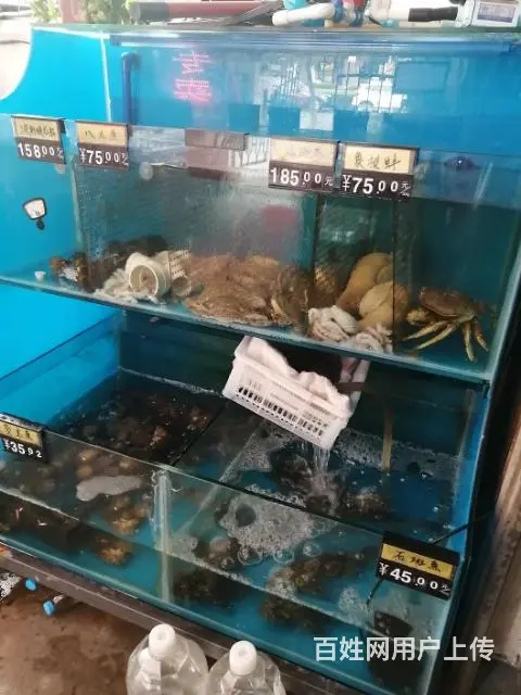 蜀山区青阳路贵池路交叉口附近盈利水产百货旺铺转让 - 图片 7