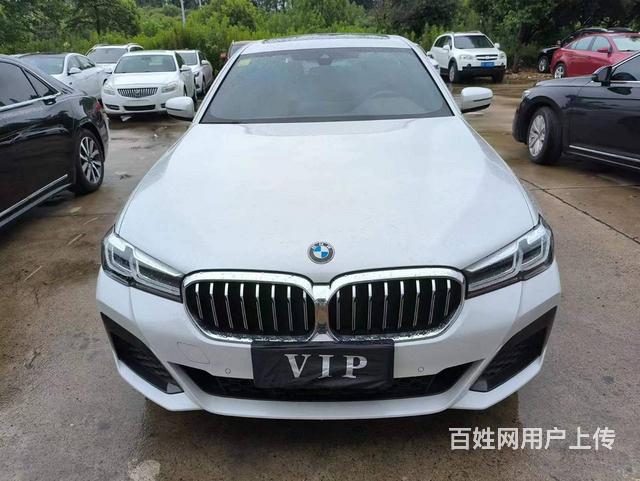 宝马5系 2020款 530Li xDrive 2.0T 手的图片