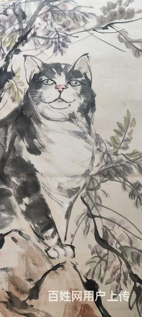 日本回流黄胄猫趣图 原装裱，立轴！精品价高 全长尺 - 图片 3