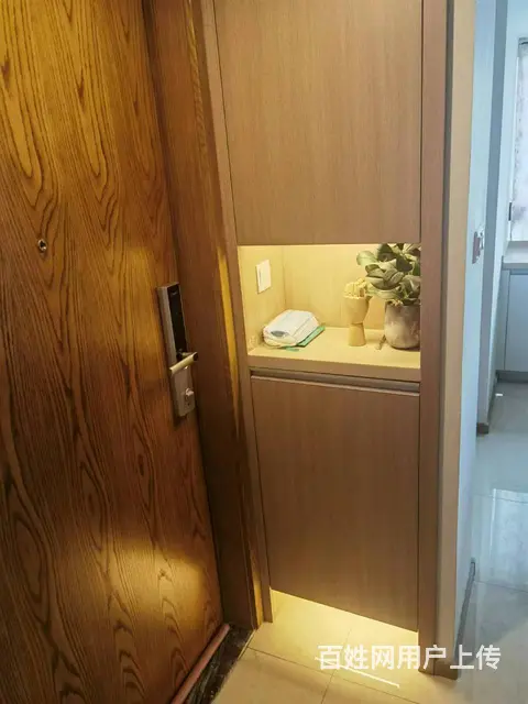 浙大森林 商住两用 豪华装修 - 图片 5