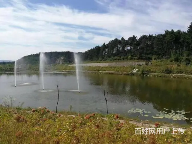 沈阳真山真水低价位公墓直销大伙房墓园，免费车看墓 - 图片 5