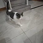 需要的可以联系我