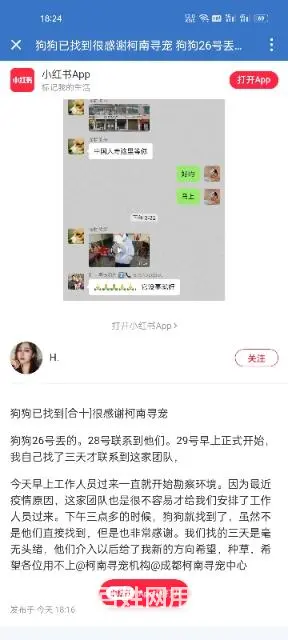 重庆寻猫团队，重庆找猫团队，重庆寻宠物团队 - 图片 1