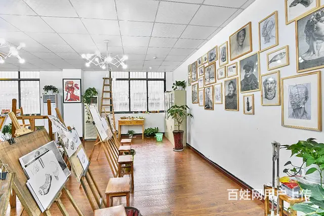 杭州零基础成人美术提供素描彩铅油画插画培训随到随画 - 图片 2