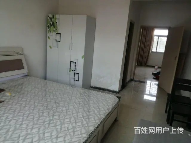 二室一厅两卫整体出租 - 图片 4