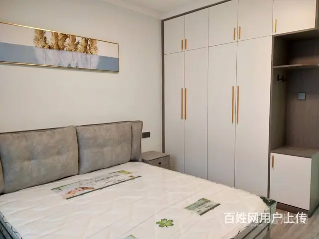 宿州市新景第三室精装急售 公摊小 上一小 - 图片 3