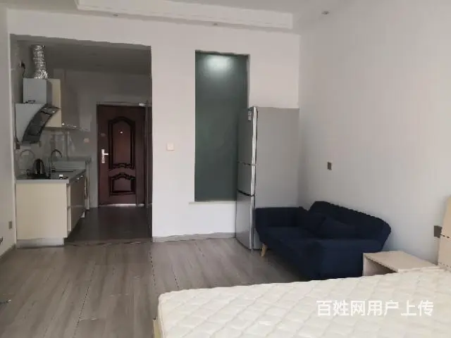 丽月湖岸单身公寓出租 - 图片 11