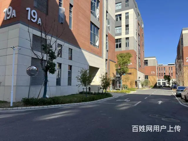陆家一楼丙类消防，700平层高9米，全新厂房形象好 - 图片 1