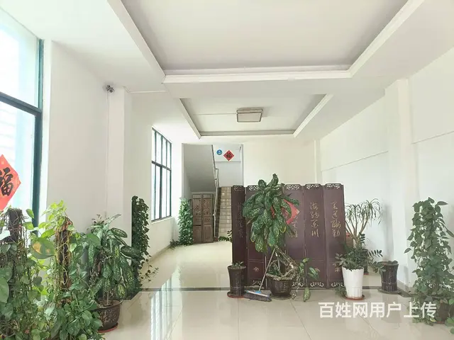（51旺铺推荐）吉阳大道2600平独栋房子出租另带一楼超市 - 图片 6