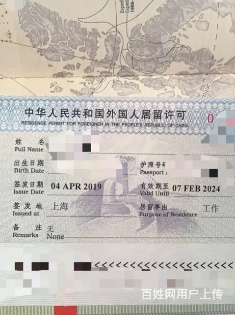 重庆海南登尼特工作签证办理外国人才评定标准外资公司 - 图片