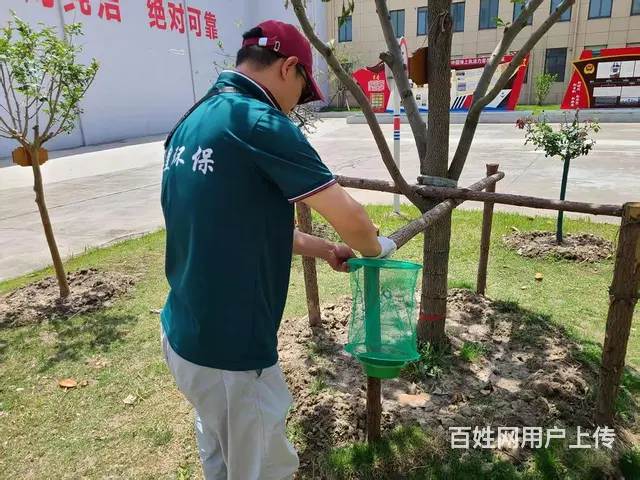 工厂四害消杀 昆山工厂除老鼠灭食品厂除蟑螂杀虫除虫 - 图片 4