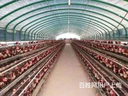 绍兴地区批发大棚骨架上门定做各种养殖大棚种植大棚 - 图片 2