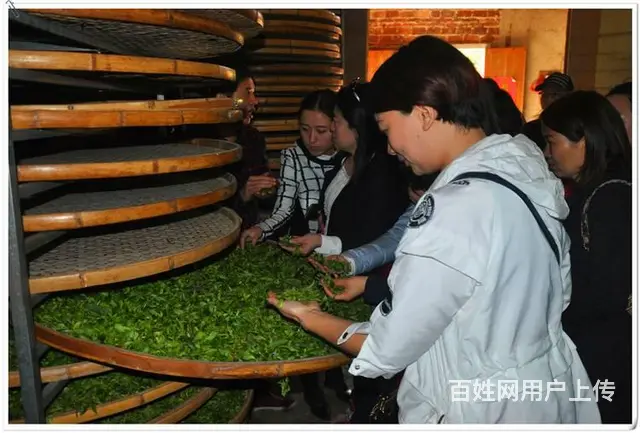 上海茶艺培训学员问天晟茶艺培训学校：茶艺证书怎么考 - 图片 4