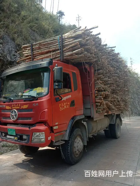 湖北大运 风度 自卸车 国3 - 图片 4