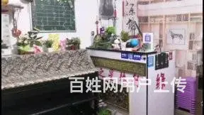 聘请书法美术老师 - 图片 2