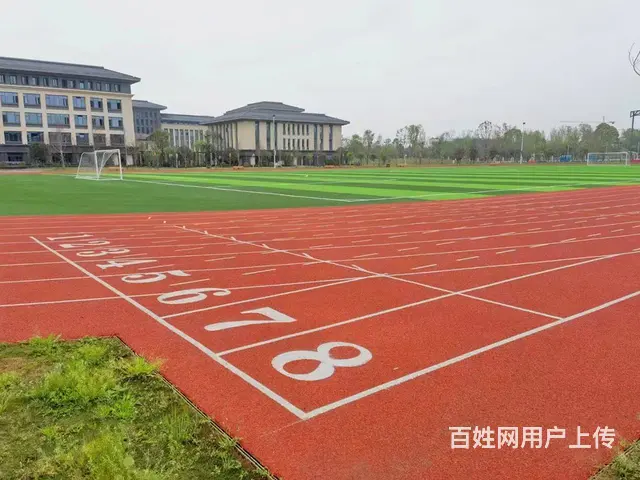 球场建设。球场硅PU，丙烯酸，人造草坪，拼装地板 - 图片 2
