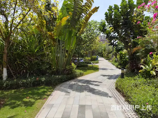 (51旺铺推荐）美兰区碧桂园中央半岛520平铺面出租 - 图片 9