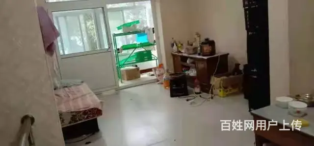 急转！邢台市襄都区东郭庄镇淮家屯社区65平水果店 - 图片 5
